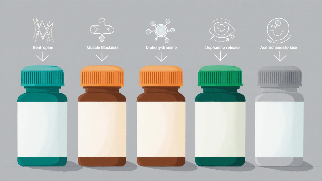 Six different medication bottles arranged side by side with symbolic icons.